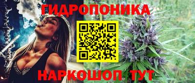 амф Моздок
